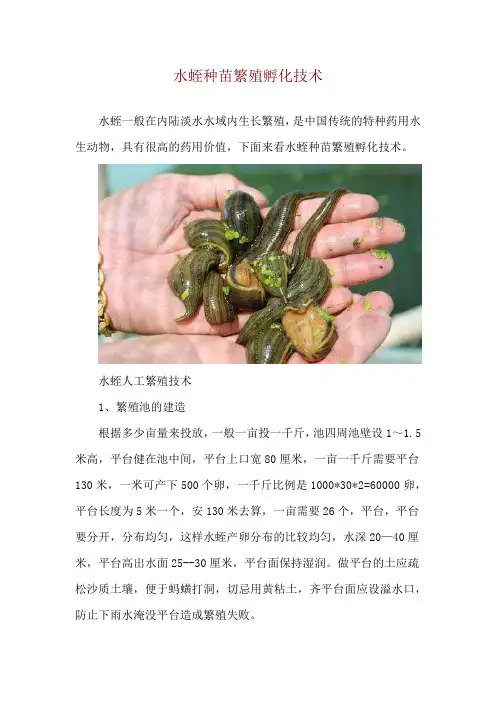 水蛭种苗繁殖孵化技术