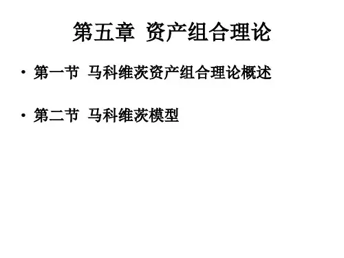 第5章 资产组合理论