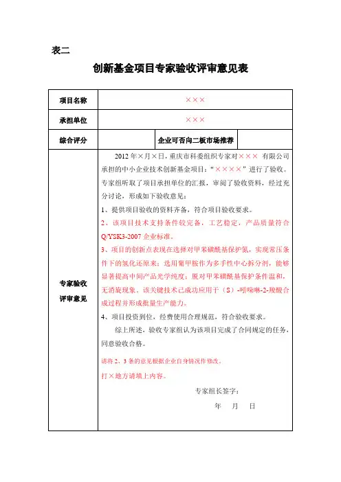 创新基金项目专家验收评审意见表模版