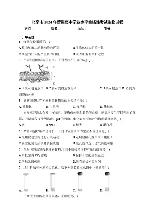 北京市2024年普通高中学业水平合格性考试生物试卷(含答案)