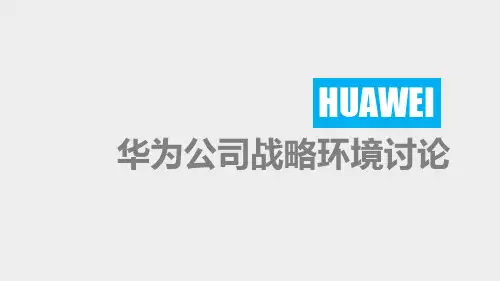 华为公司战略环境讨论分析