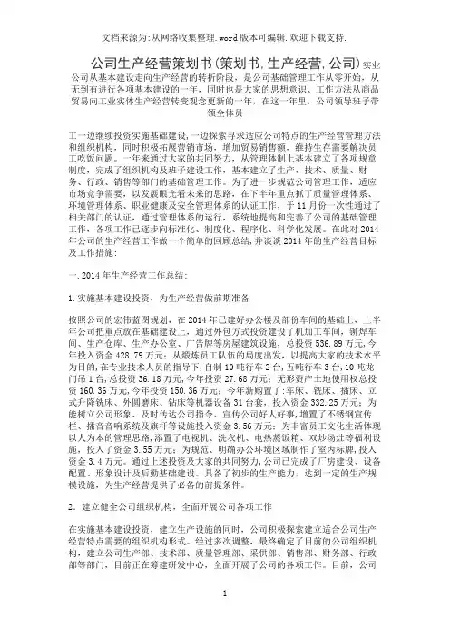 公司生产经营策划书(策划书,生产经营,公司)