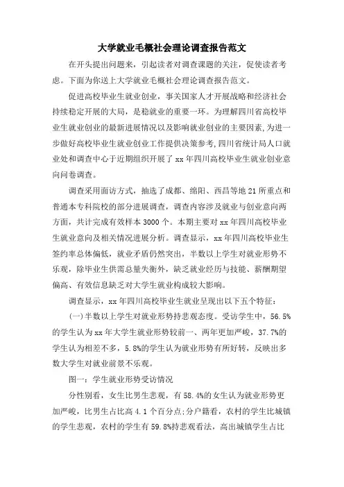 大学就业毛概社会实践调查报告范文