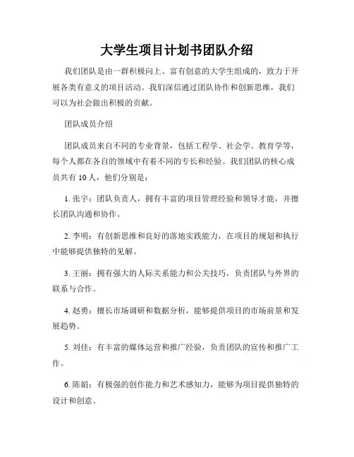 大学生项目计划书团队介绍