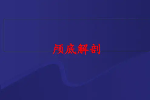 颅底解剖  ppt课件