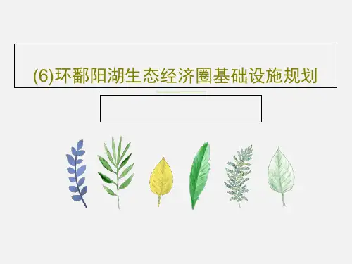 (6)环鄱阳湖生态经济圈基础设施规划共18页