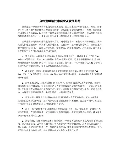 金线莲组培技术现状及发展趋势