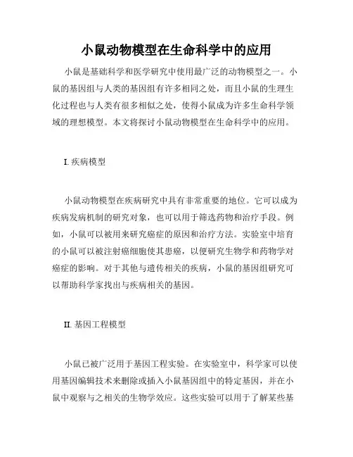 小鼠动物模型在生命科学中的应用