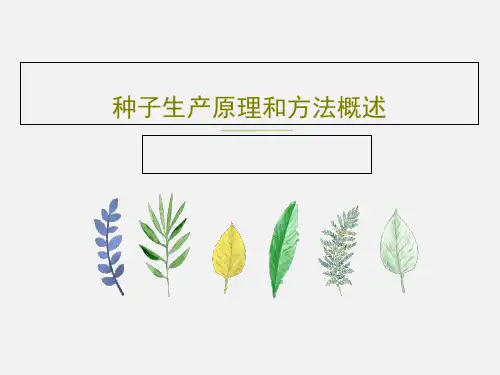 种子生产原理和方法概述109页PPT