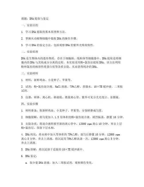 生化实验报告课题