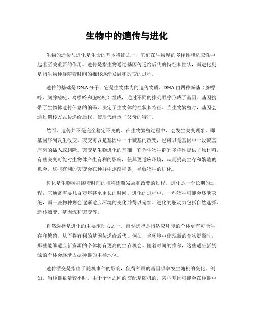 生物中的遗传与进化