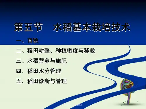 水稻栽培学试题库