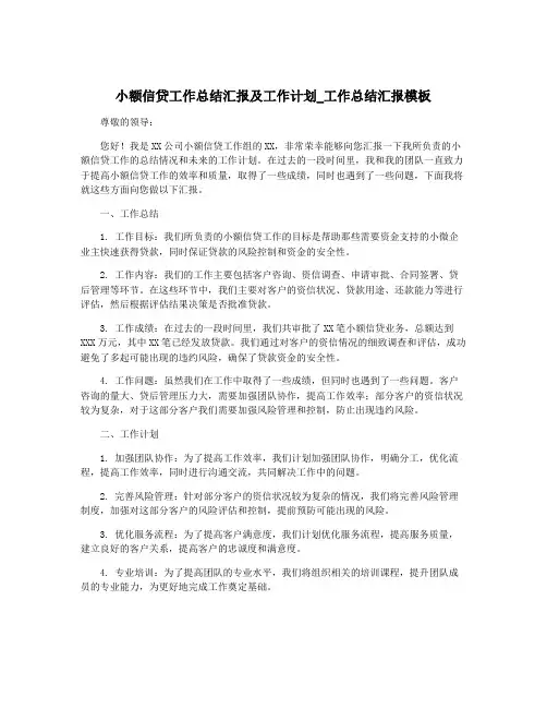 小额信贷工作总结汇报及工作计划_工作总结汇报模板