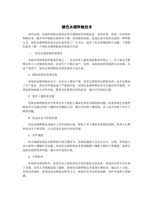 绿色水稻种植技术