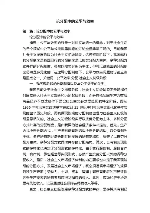 论分配中的公平与效率