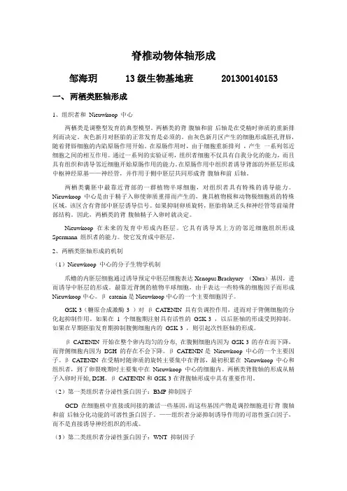 脊椎动物体轴形成