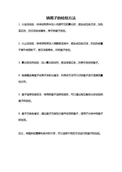钠离子的检验方法