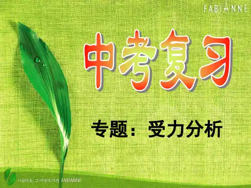 最新初中物理专项复习受力分析经典例题
