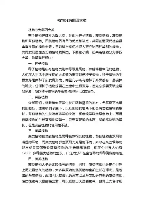 植物分为哪四大类