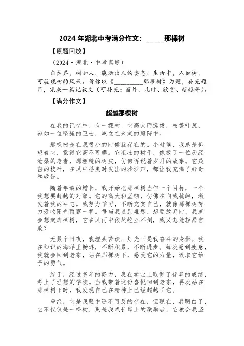 2024年湖北中考满分作文：______那棵树