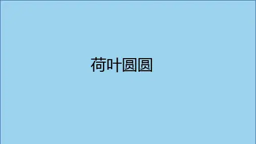 13.荷叶圆圆课件(共20张PPT)