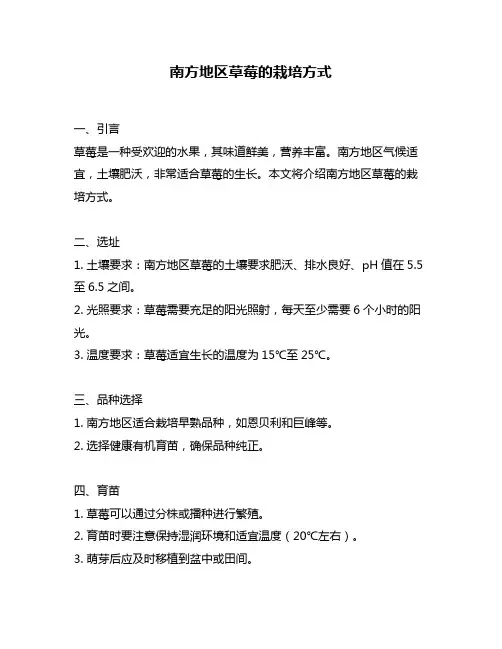 南方地区草莓的栽培方式