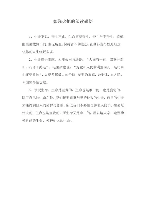 魏巍火把的阅读感悟