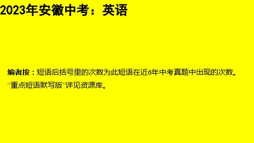 2023年安徽省中考英语专题总复习：动词短语与搭配