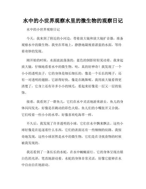 小学三年级作文水中的小世界观察水里的微生物的观察日记