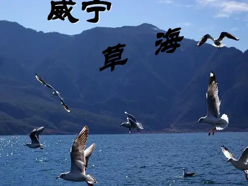 威宁草海