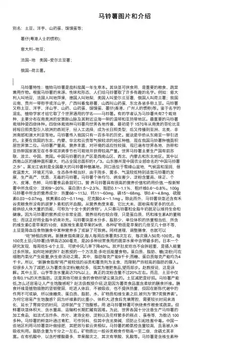 马铃薯图片和介绍