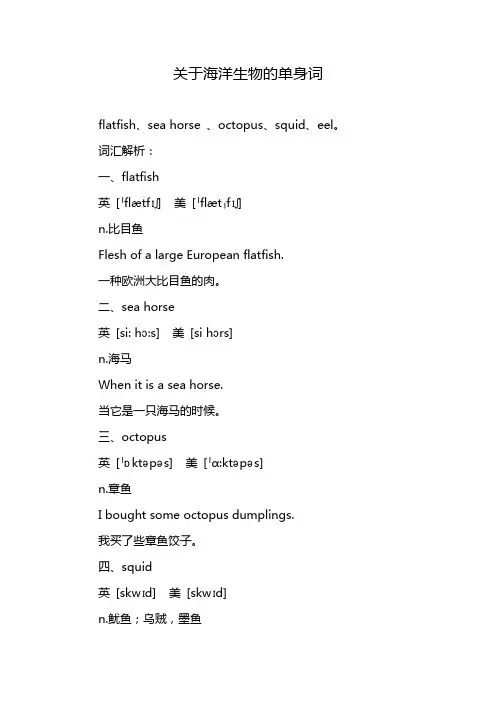 关于海洋生物的单身词
