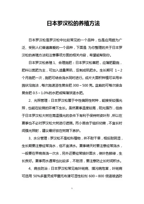 日本罗汉松的养殖方法