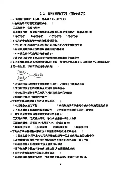 2.2  动物细胞工程(同步练习)(附答案)—2022-2023学年高二下学期生物选择性必修3