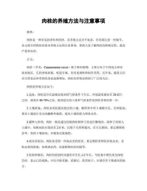 肉桂的养殖方法与注意事项