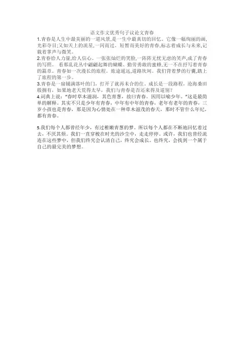 语文作文优秀句子议论文青春
