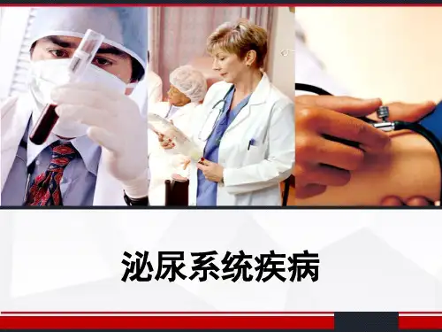 病理学 泌尿系统疾病 PPT