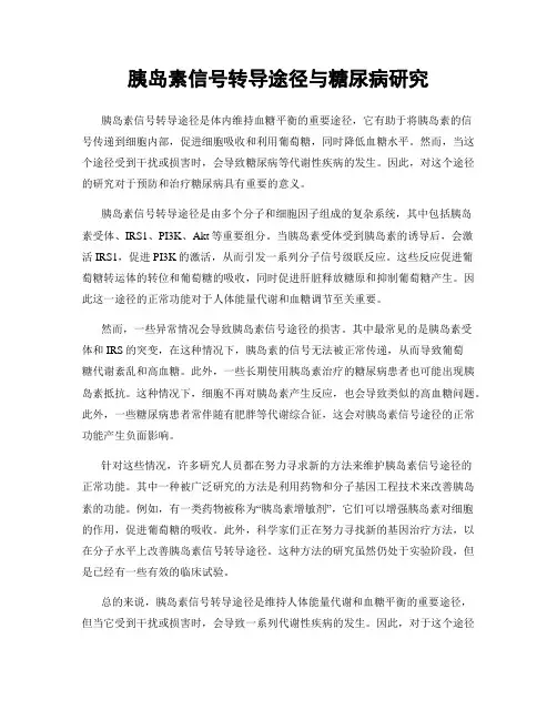 胰岛素信号转导途径与糖尿病研究