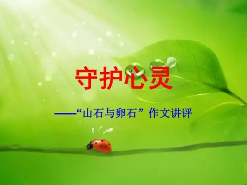 山石与卵石 作文讲评