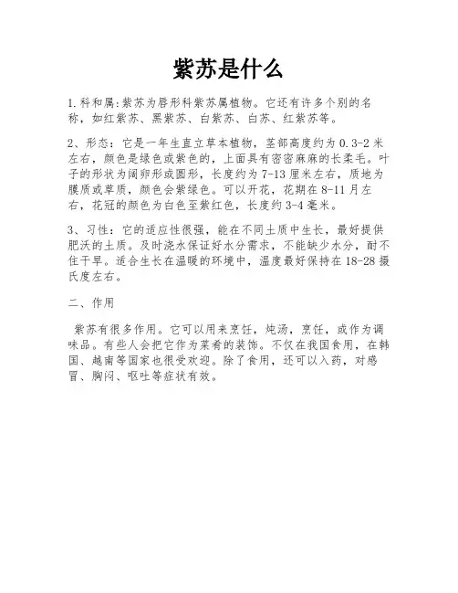 紫苏是什么