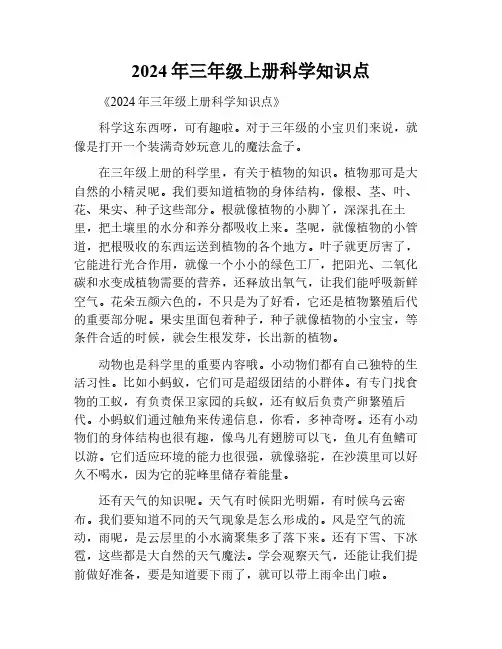 2024年三年级上册科学知识点