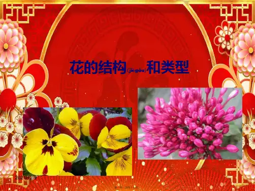 八年级生物上册 第一章 第一节《花的结构和类型》课件 