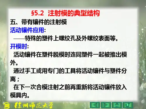 §5.2 五、带有镶件的注射模