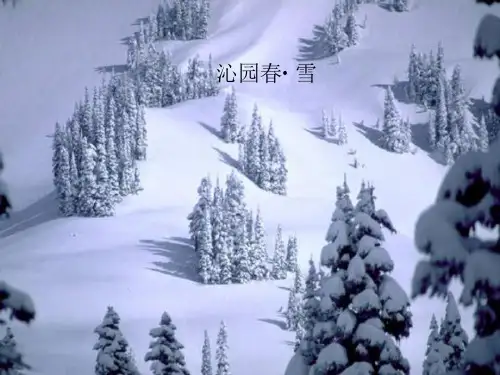 人教版语文必修一1沁园春·长沙 (共40张PPT)(优秀课件)