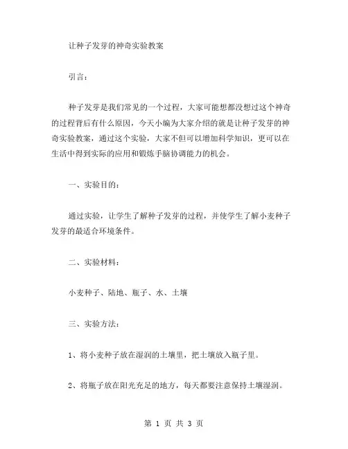 让种子发芽的神奇实验教案
