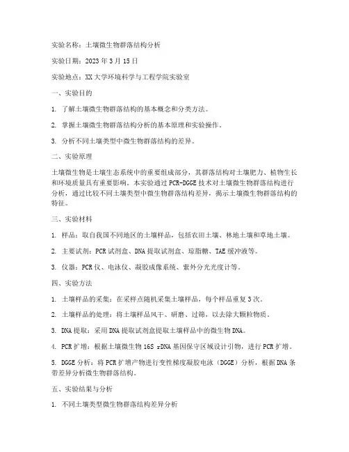 案例分析实验报告