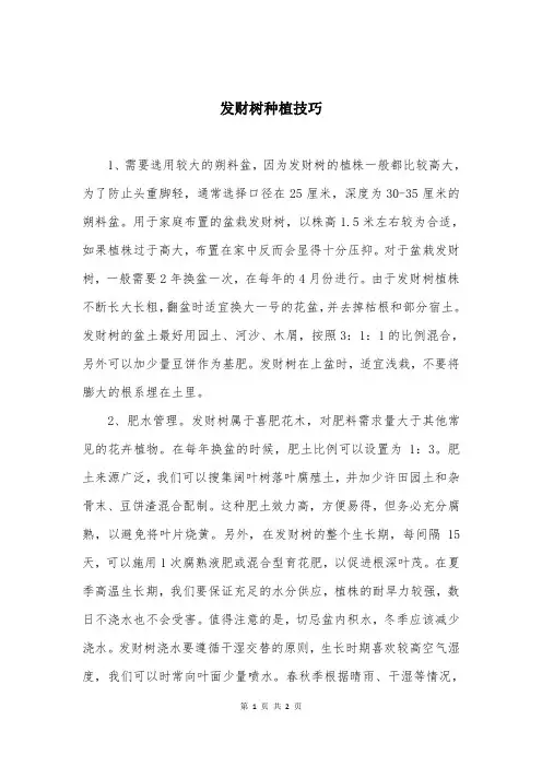 发财树种植技巧