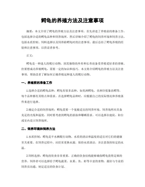 鳄龟的养殖方法及注意事项