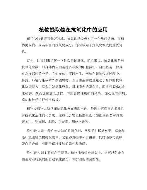 植物提取物在抗氧化中的应用