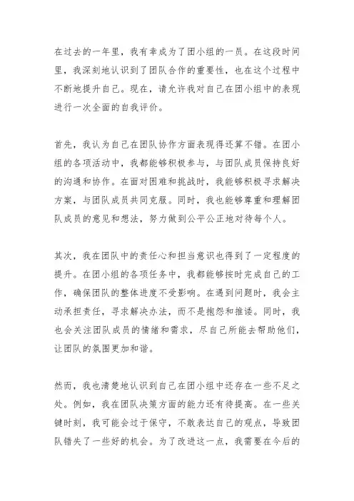 团小组评议自我评价